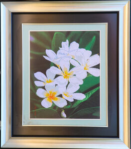 Csi 526 Cross Stitched Flowers