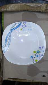 Glass Plates